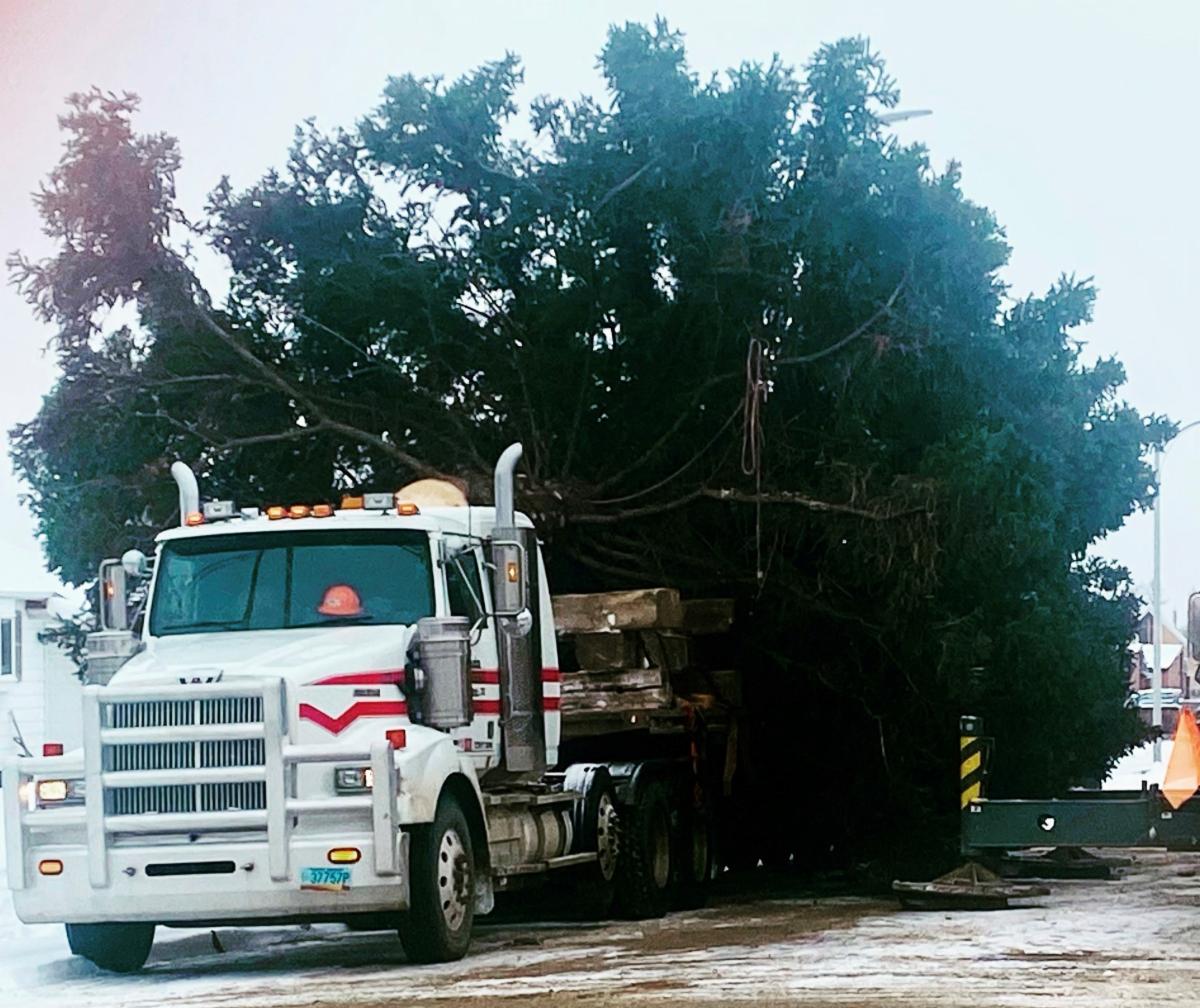 New Party Store opens in Williston