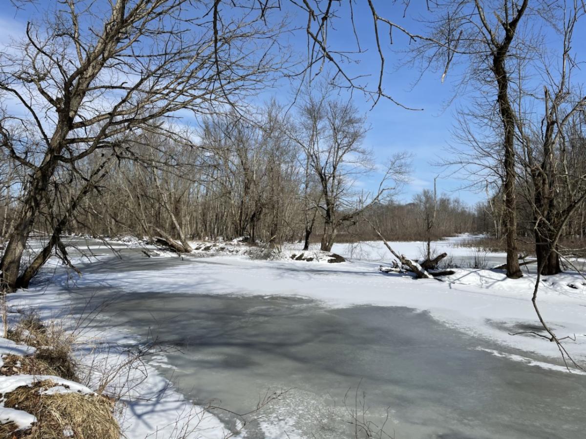 Frozen and snow covered river