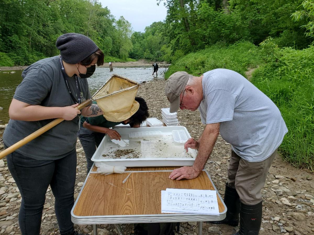 Volunteers looking at macroinvertebrates on table next to river