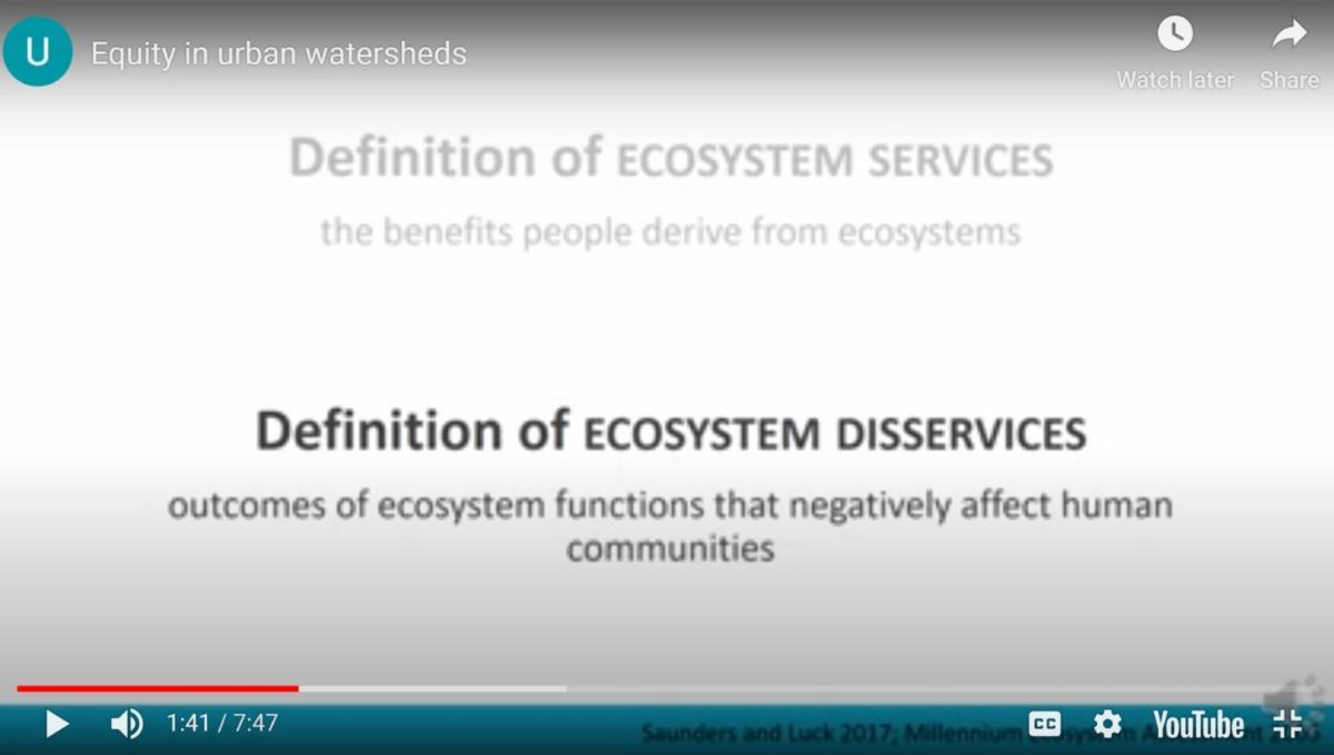 Screenshot from equality in urban watersheds video