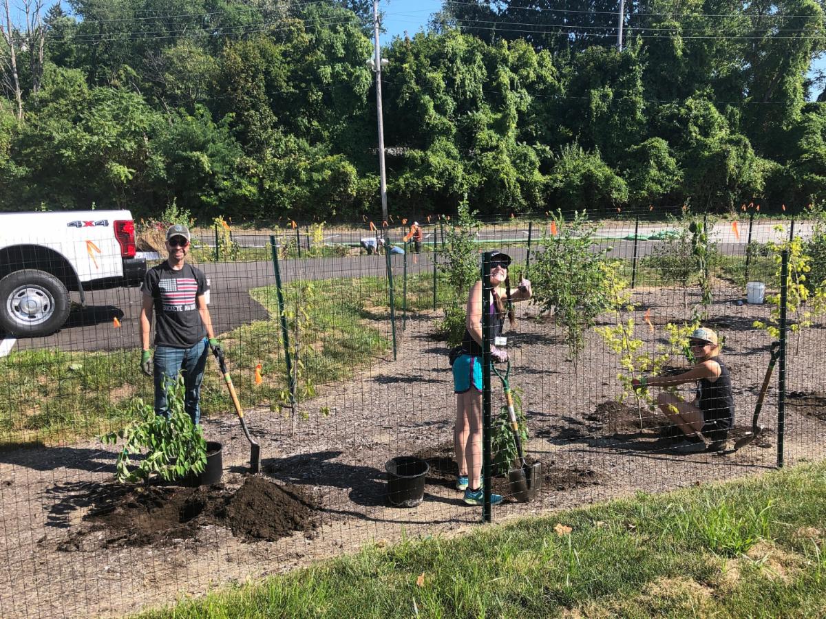 Three Watershed Stewards planting trees within fencing