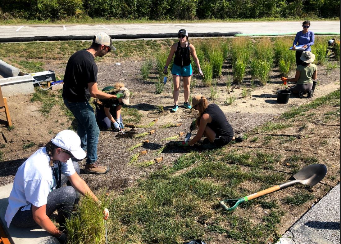 Group of stewards planting grasses in bioretention cell within parking lot