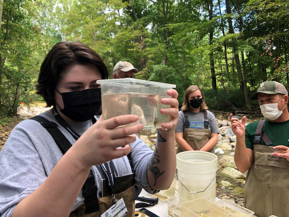 WVP steward identifying fish at aquatic workshop