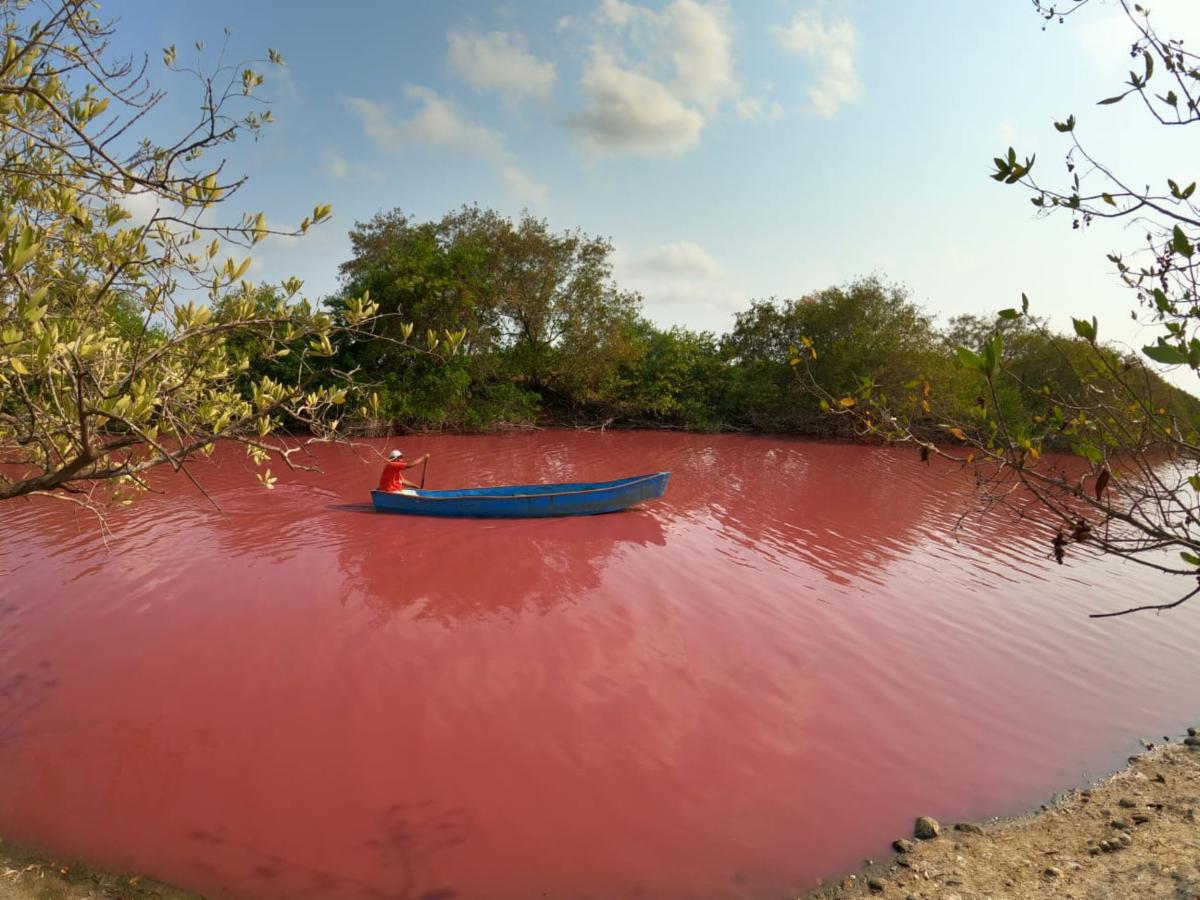 Pink Lagoon in Mexico.jpeg