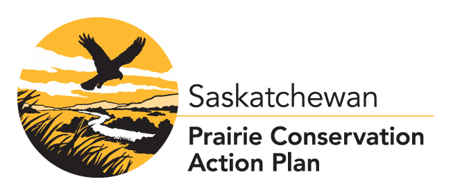 PCAP logo