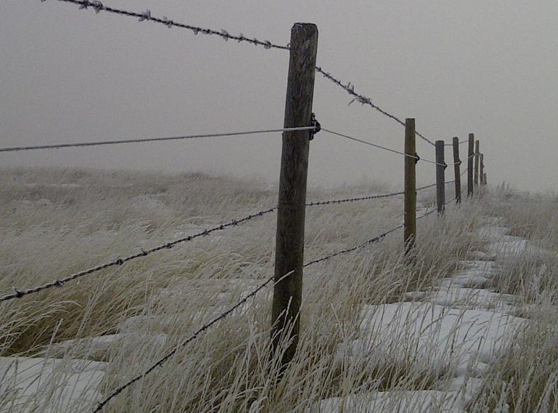Winter Fence
