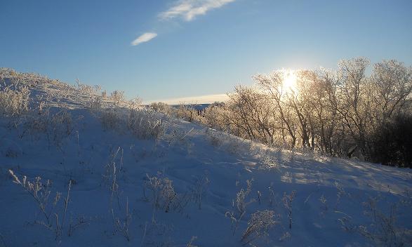 Winter Scene