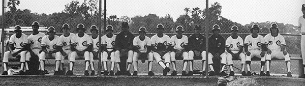 1973 TC Baseball
