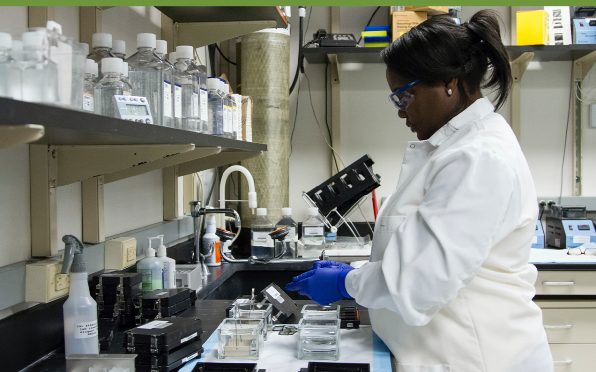 A technician at the Cancer Genomics Research Laboratory washes arrays used in genome-wide association studies (GWAS). Photo by National Cancer Institute on Upsplash.