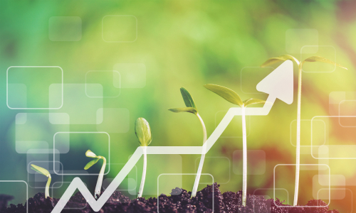 Growth of new life on  background