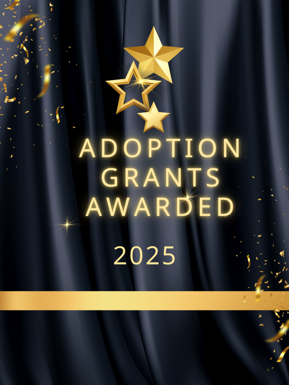 Adoption Grants Awarded
