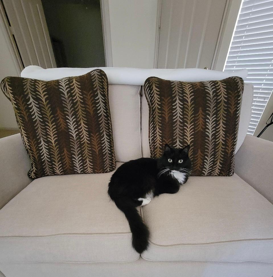 Volunteer News 11.21.25