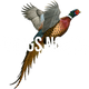 3000x3000logo_1.png