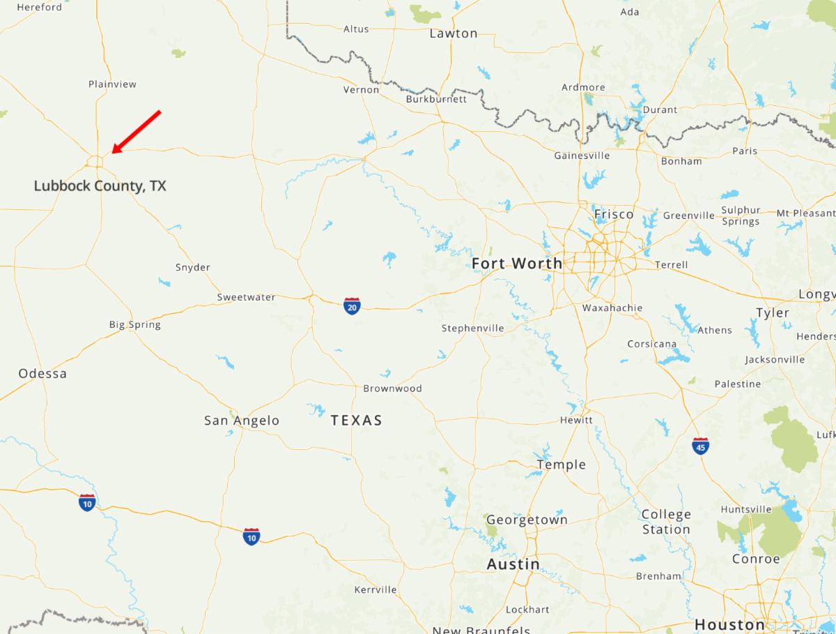 From Robin. Please Read. Urgent Transport & Foster Home Needed for 4