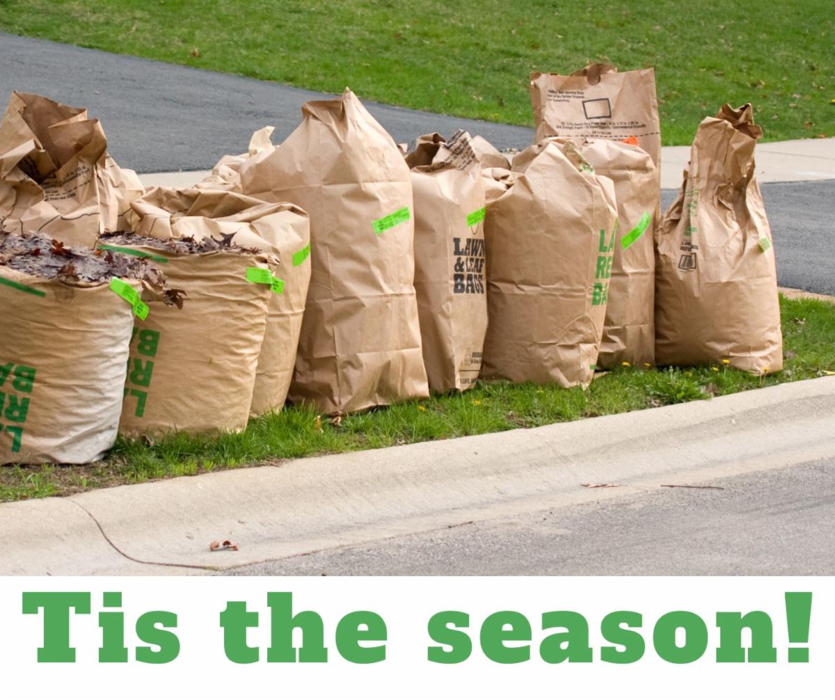 May Kirkwood Happenings!