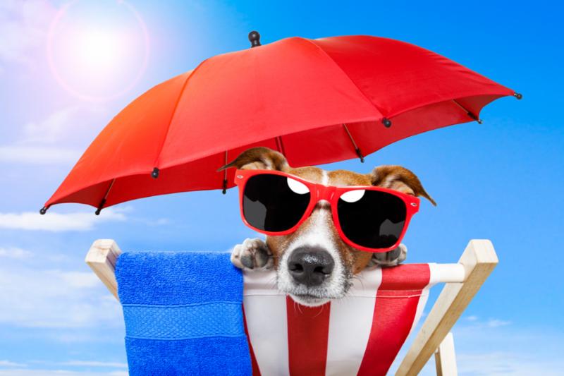 Summer