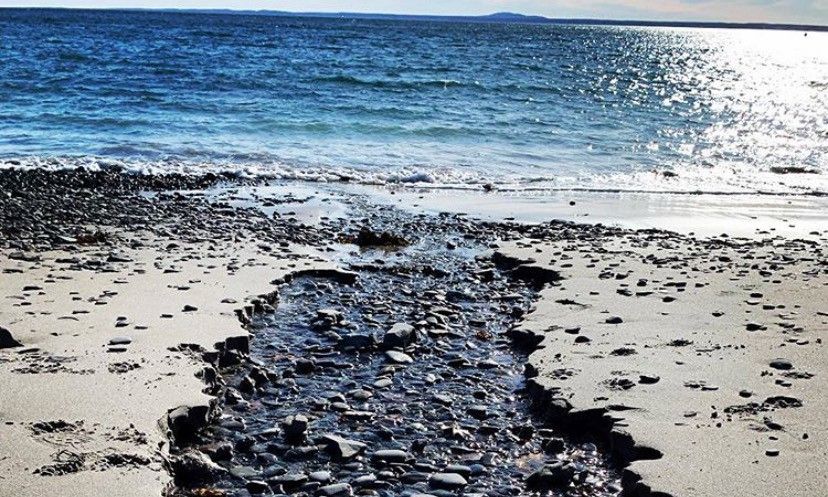 Fresh Water Meets Ocean