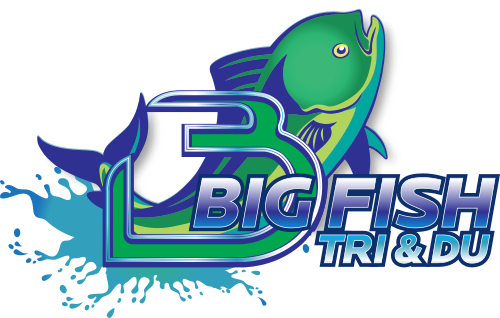bigfish500.png