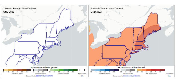 The seasonal precipitation and temperature outlook for the northeast US.
