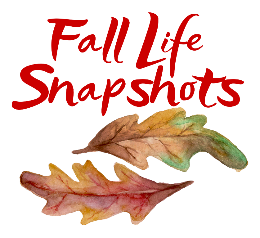 Fall Life Snapshots