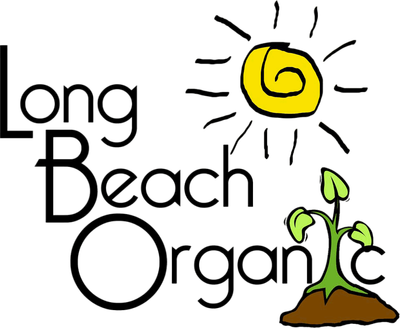 400_filter_nobg_68aa49fd03975.png
