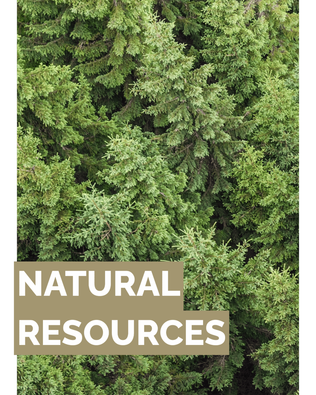 Image representing Gates Family Foundation's strategic priority: Natural Resources.
