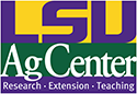 branding logo