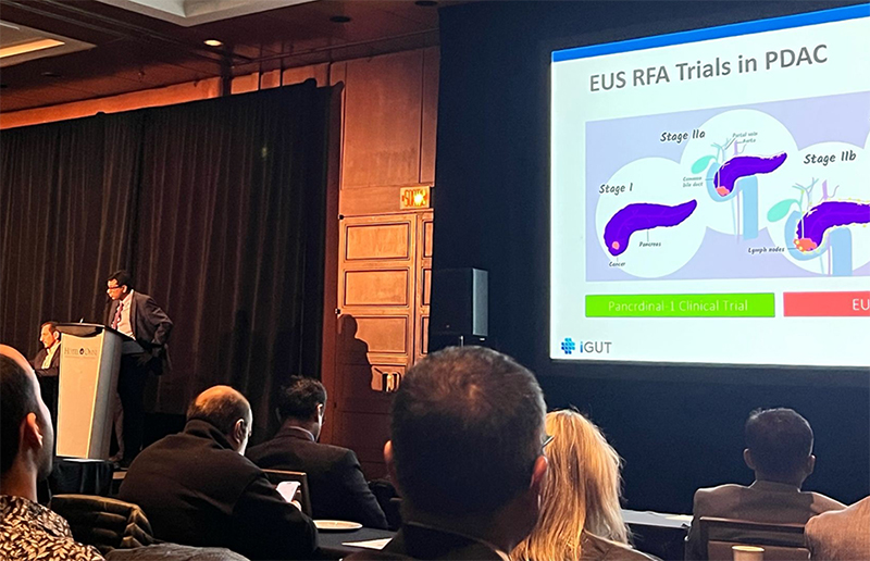 Spotlight on International Collaboration