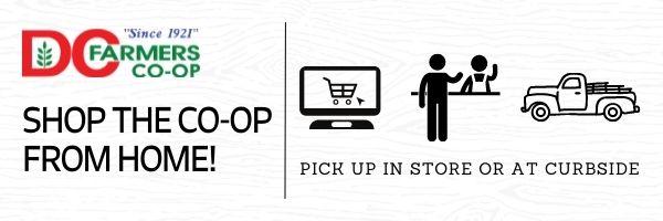 order online email 2.jpg
