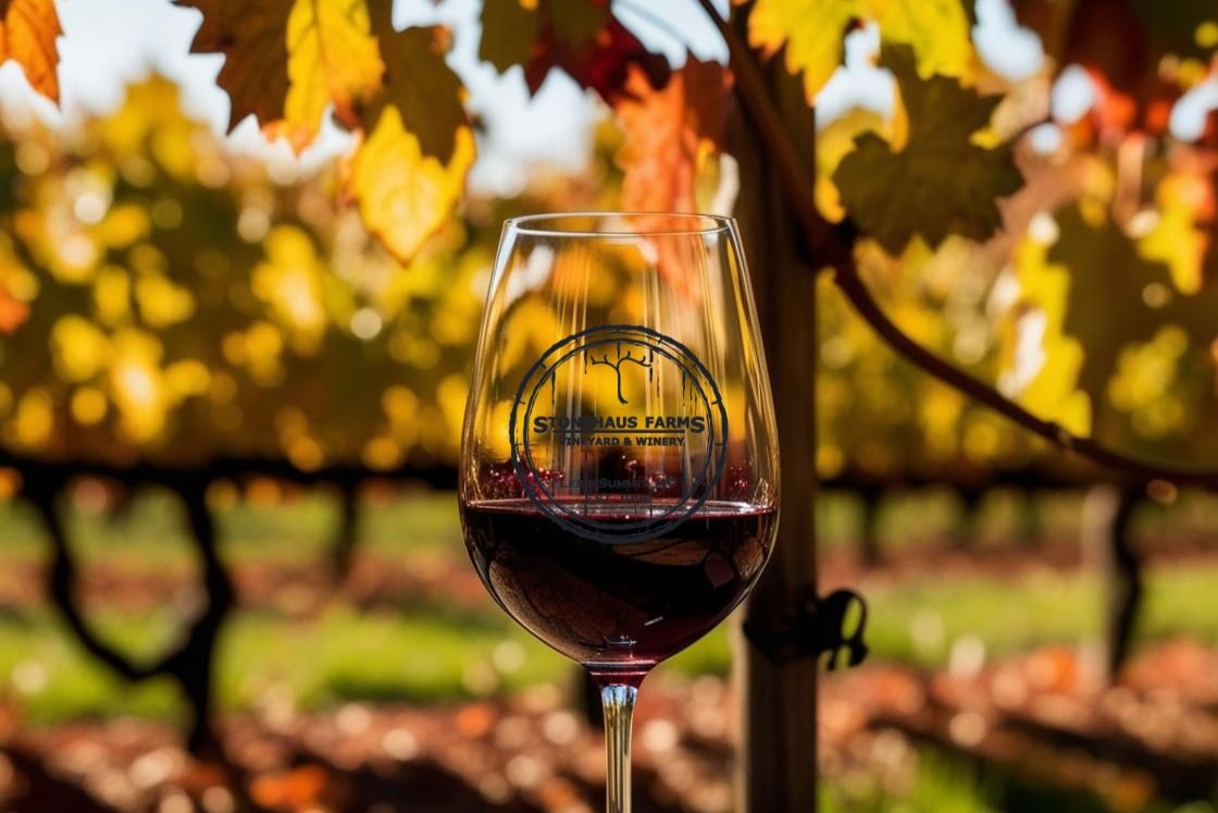 Glass of red wine with a background of fall colorful trees