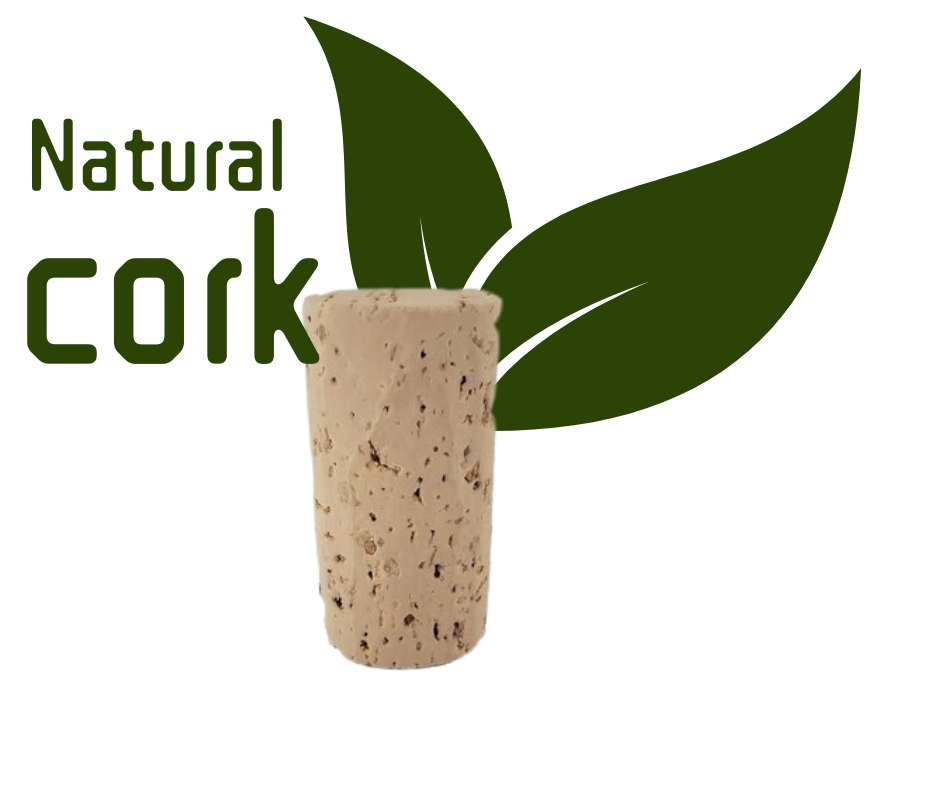 July 2022 Newsletter