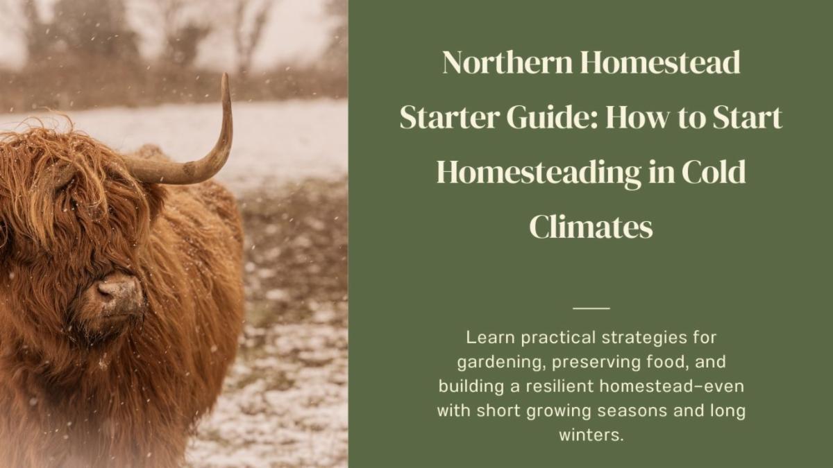 Northern Homestead Starter Guide How to Start Homesteading in Cold Climates.jpg