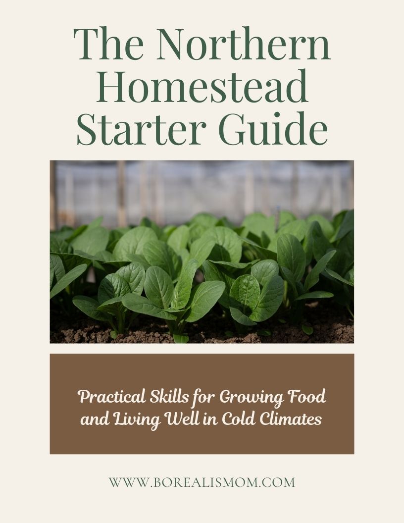 The Northern Homestead Starter Guide.jpg
