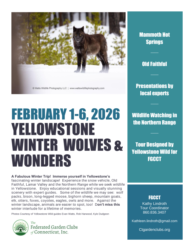 Yellowstone brochure image 20250210