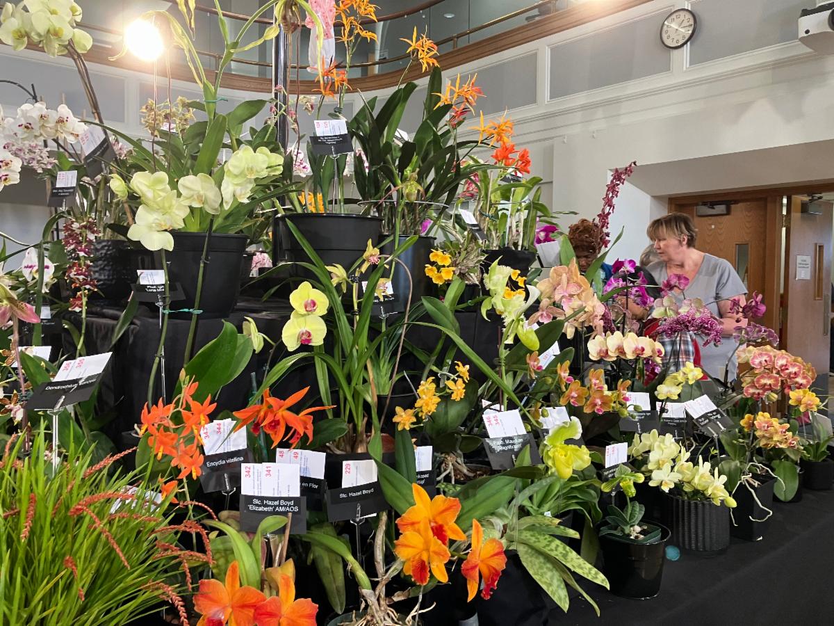 FGCCT CFNews April / May 2024