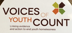 Voice of Youth Count