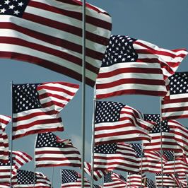many-waving-flags.jpg