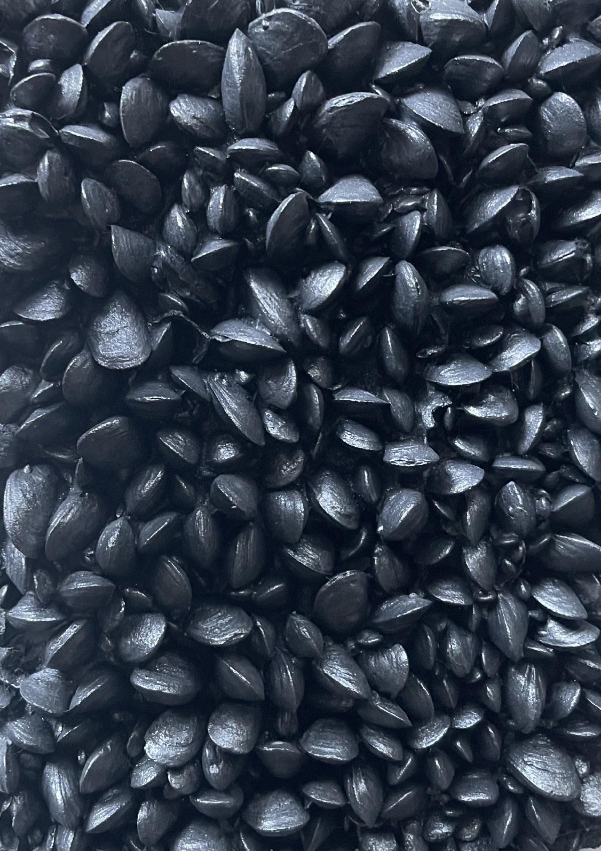  Mussel Bed - Tumbo Island, British Columbia is a cement casting by Allen Moe. 