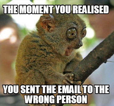 Email Wrong Person Meme.jpg
