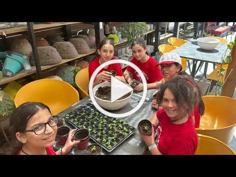 Little Tour Guide 2024 Summer camp