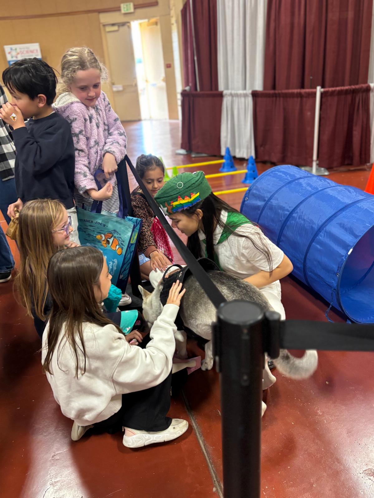 4-H member letting students pet her dog and showing them how her dog goes through the agility course set up at Farm Day
