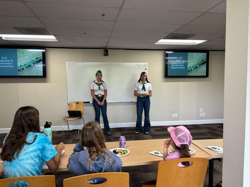 4-H County Ambassadors presenting to youth at a Leadership Workshop