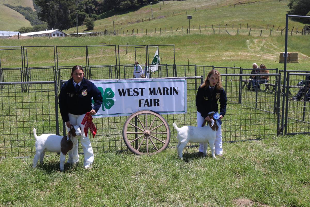 2 people with their goats posing in front of a "West Marin Fair" Sign