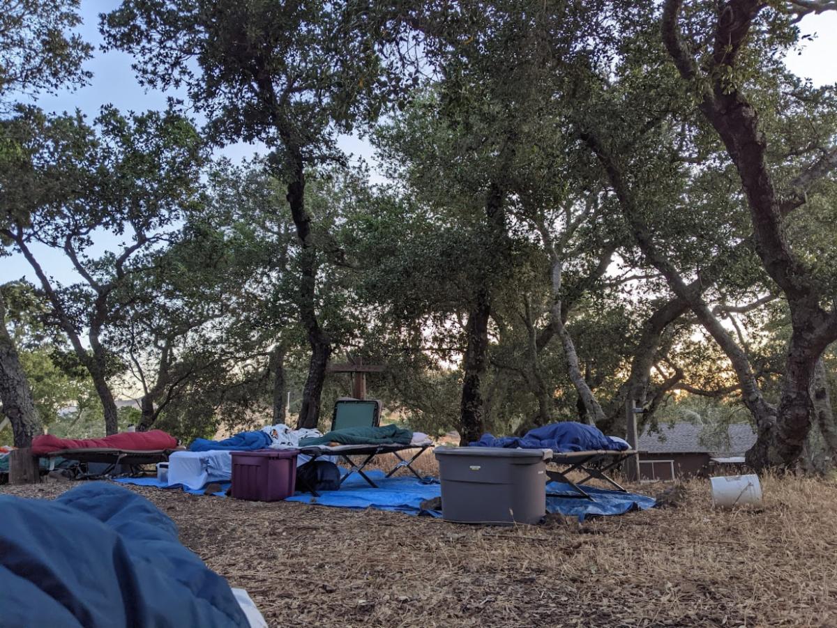 campers sleep outside under the stars, this image shows cots set up underneath tree cover with sleep bags and bins to enclose camper personal items. 