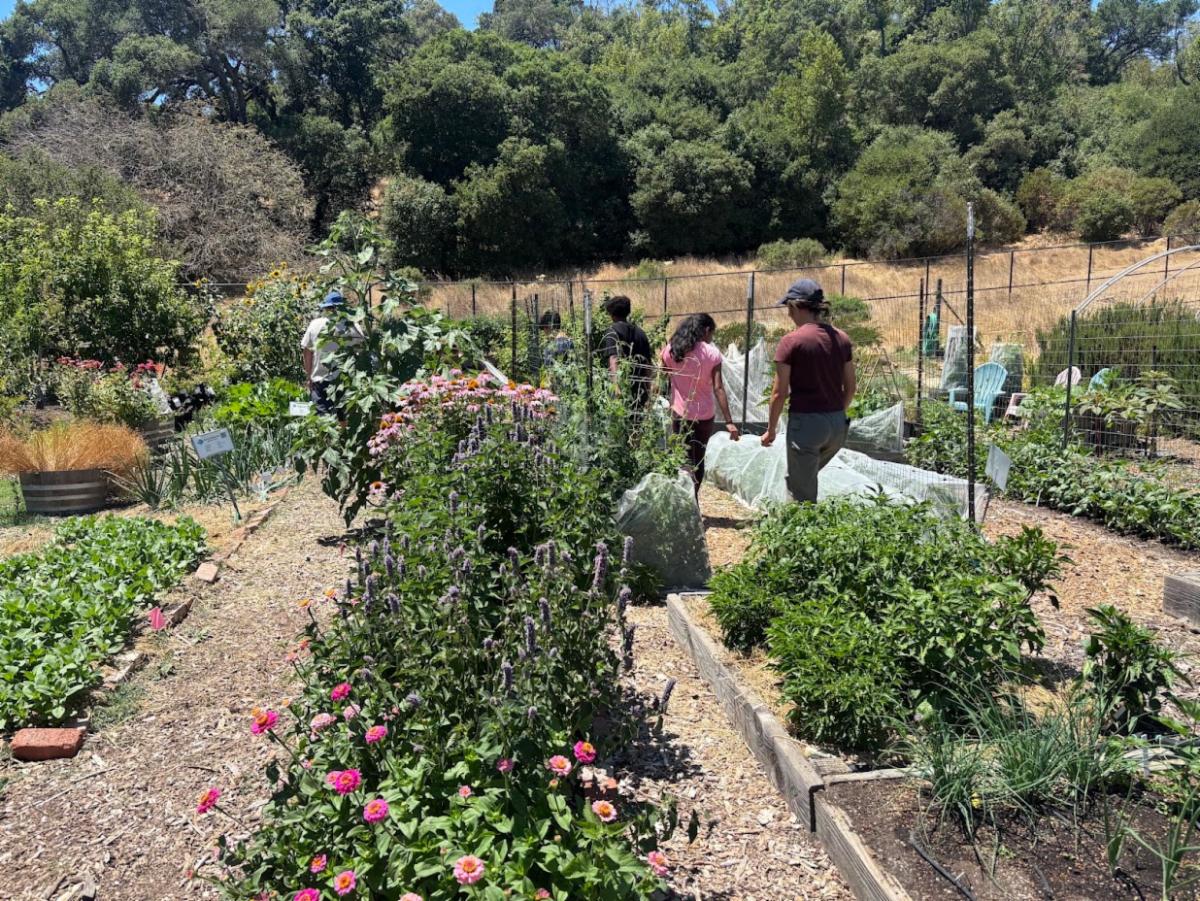 a group taking a tour of a local garden 