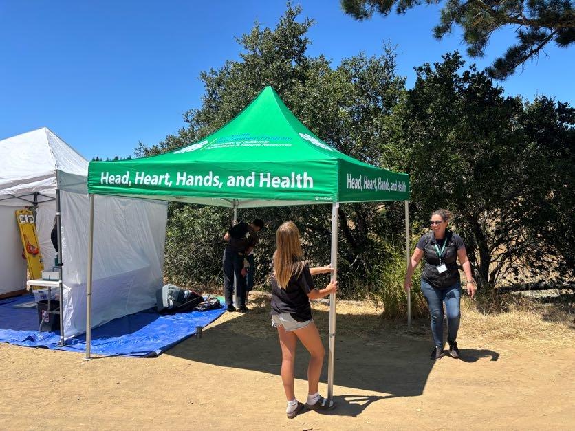 people setting up a green 4-H tent that says "Head, Heart, Hands and Health"