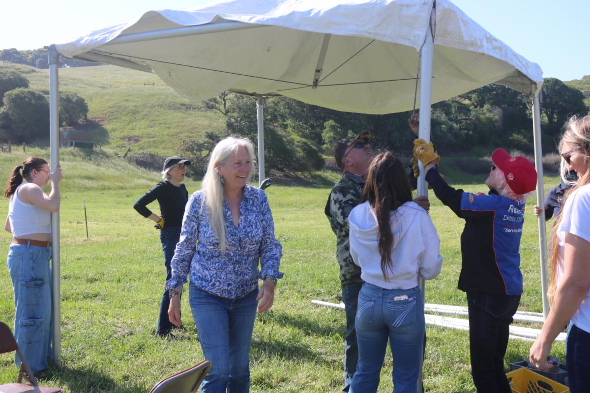 Adults setting up a canopy for the West Marin Fair