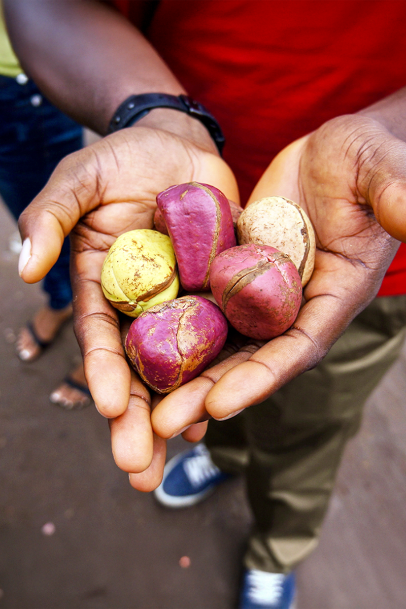 Close-up of a person holding a handful of colorful kola nuts with a blurred background showing pavement and partial figures emphasizing traditional African food and cultural heritage