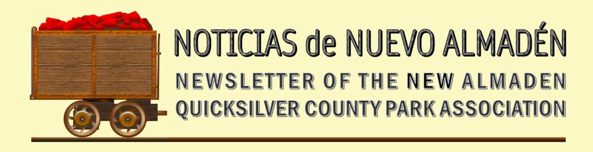 New newsletter header