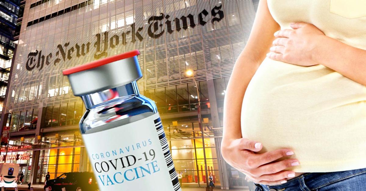 new york times 
